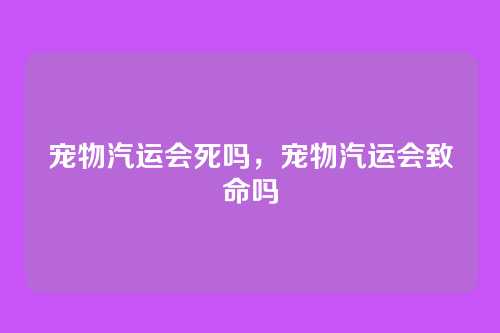 宠物汽运会死吗,宠物汽运会致命吗