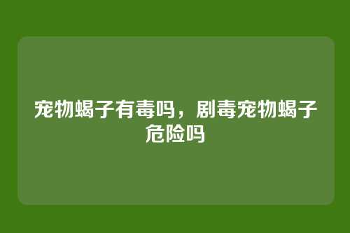宠物蝎子有毒吗，剧毒宠物蝎子危险吗