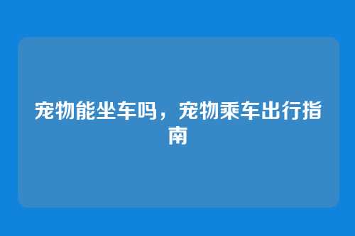 宠物能坐车吗,宠物乘车出行指南