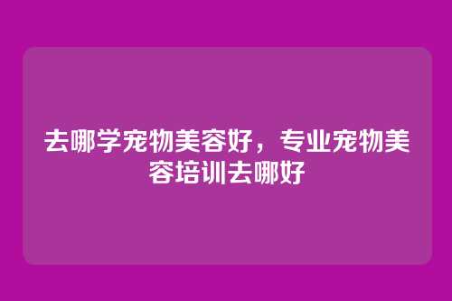 去哪学宠物美容好，专业宠物美容培训去哪好