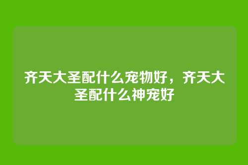 齐天大圣配什么宠物好,齐天大圣配什么神宠好