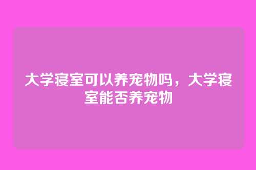 大学寝室可以养宠物吗,大学寝室能否养宠物