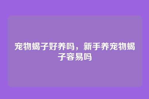 宠物蝎子好养吗,新手养宠物蝎子容易吗
