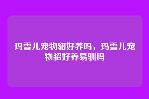 玛雪儿宠物貂好养吗,玛雪儿宠物貂好养易驯吗