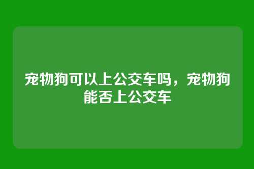 宠物狗可以上公交车吗,宠物狗能否上公交车