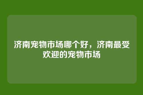 济南宠物市场哪个好，济南最受欢迎的宠物市场