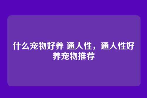 什么宠物好养 通人性,通人性好养宠物推荐