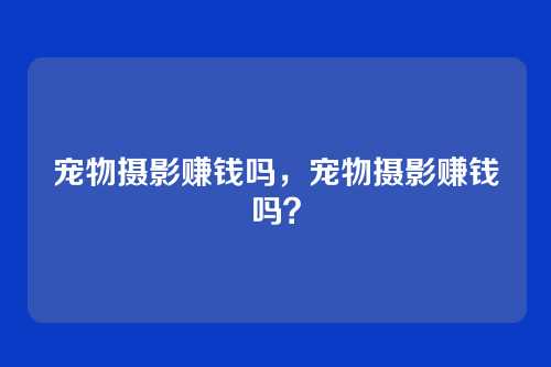 宠物摄影赚钱吗，宠物摄影赚钱吗？