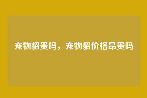 宠物貂贵吗，宠物貂价格昂贵吗
