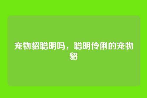 宠物貂聪明吗，聪明伶俐的宠物貂
