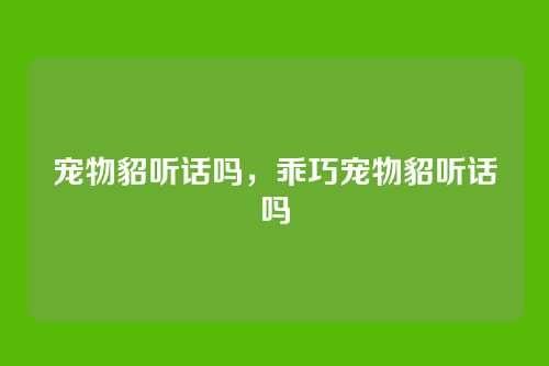宠物貂听话吗，乖巧宠物貂听话吗