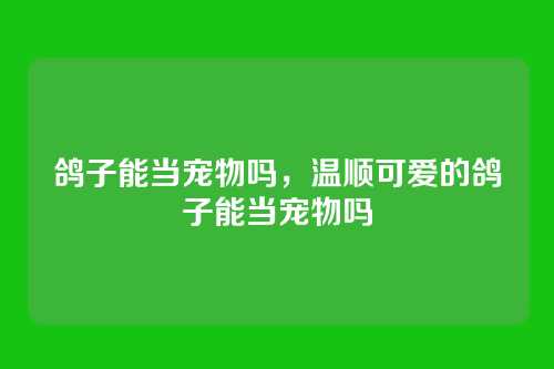 鸽子能当宠物吗,温顺可爱的鸽子能当宠物吗