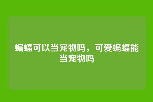 蝙蝠可以当宠物吗，可爱蝙蝠能当宠物吗