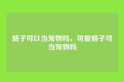 貉子可以当宠物吗，可爱貉子可当宠物吗