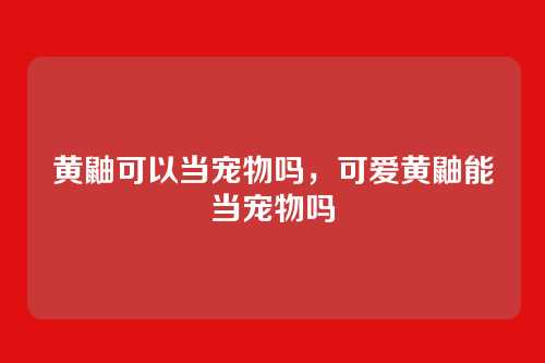 黄鼬可以当宠物吗,可爱黄鼬能当宠物吗