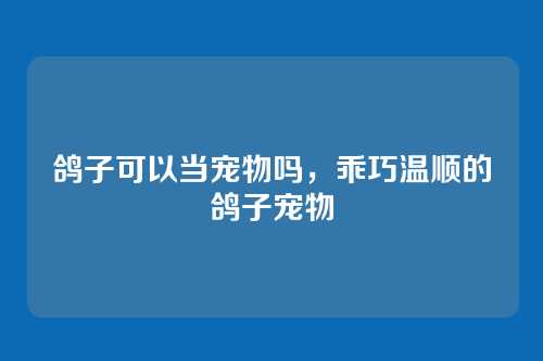 鸽子可以当宠物吗,乖巧温顺的鸽子宠物