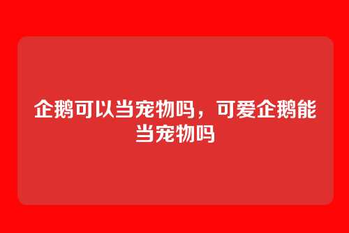 企鹅可以当宠物吗，可爱企鹅能当宠物吗
