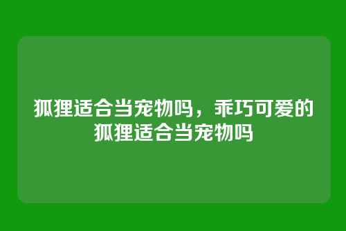 狐狸适合当宠物吗,乖巧可爱的狐狸适合当宠物吗
