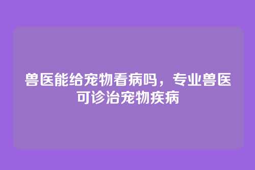 兽医能给宠物看病吗,专业兽医可诊治宠物疾病