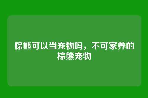 棕熊可以当宠物吗,不可家养的棕熊宠物