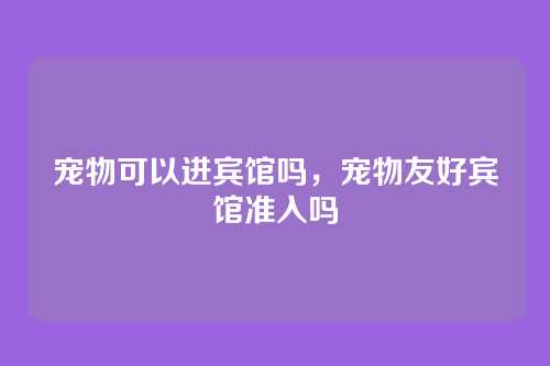 宠物可以进宾馆吗，宠物友好宾馆准入吗