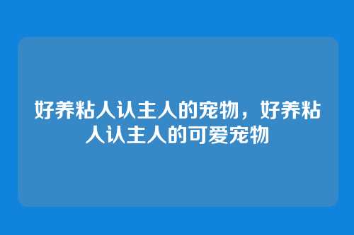 好养粘人认主人的宠物,好养粘人认主人的可爱宠物